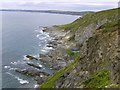 SX4148 : Queener Point and Whitsand Bay by Eric Foster
