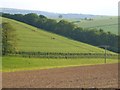 Field access lane, Cheriton Bishop