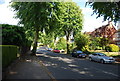 A leafy road (Reddings Rd)