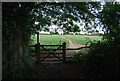 Gate, Downs Link