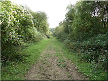 TQ3710 : Bridleway to nowhere by Dave Spicer