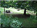 NS6363 : Picnic table,  Tollcross Park by Richard Webb