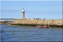 NZ9011 : Lower Harbour, Whitby by Dave Hitchborne