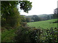 Footpath towards Graiglwyd