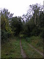 Bridleway to Back Lane