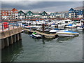 Marina in Exmouth