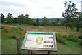 Information board, Holmbury Hill