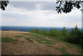 View from Holmbury Hill