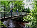 Footbridge across the Wear