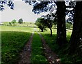 Frog Hall driveway