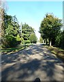 Looking north-west up Boughton Hall Avenue