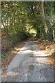 TQ7826 : Sussex Border Path by Julian P Guffogg