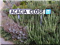 Acacia Close sign