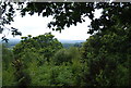 TQ1042 : View through the trees, Holmbury Hill by N Chadwick
