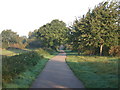 Cycle track towards York