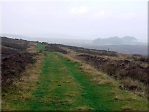 NU1004 : Old coach road north-west of the summit on Rimside Moor by Andrew Curtis
