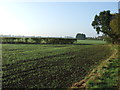 Farmland off Broad Lane