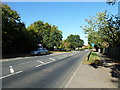 Autumn in Send Barns Lane