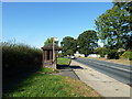 Bus shelter in Send Barns Lane