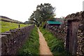 Footpath behind the houses