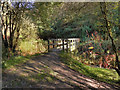 Wooden Bridge Over River medlock