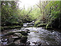 River Clydach in Clydach Gorge