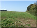 Farmland near Tadcaster