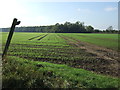 Footpath off Catterton Lane