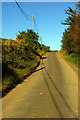 Rural road leading out of Westmill, Hertfordshire