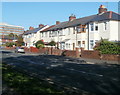 Newport : Mendalgief Road houses north of Arthur Street