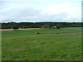 Fields at Galcantray