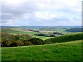 Site of Melcombe Horsey