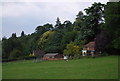 Cottages on the edge of Cover Wood