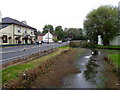 River Ebble and A354, Coombe Bissett (2/4)