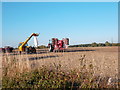 Farm Work, East Hagbourne