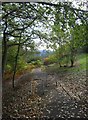 Footpath & cycleway to Bradley Road, Wollaston, Stourbridge