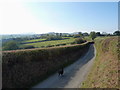 The lane into Broome