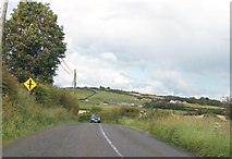 N7385 : The R164 south of Carrickspringan by Eric Jones