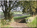 Farm gateway, Lyshwell