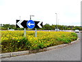 One way sign and roundabout, Perth