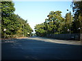 Looking north along Fishbourne Road