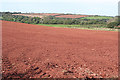 Ermington: towards Tod Moor