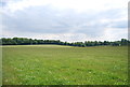 TQ0941 : Grassland south of Ewhurst Place by N Chadwick