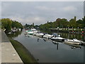 Boats moored at the Wharf, Teddington