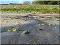 Garlieston Beach