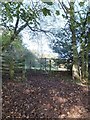 Stile on footpath from Haldon Gate to Dunchideock