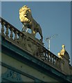 TQ2577 : Lion, Fulham by Derek Harper