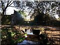 Footbridge over Chaffinch Brook (Elmer