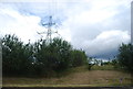 Pylon by the M6 and M6 (Toll) motorways