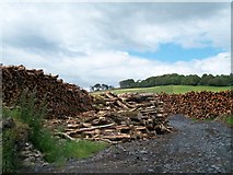 N5676 : Lumber at Loughcrew by Eric Jones